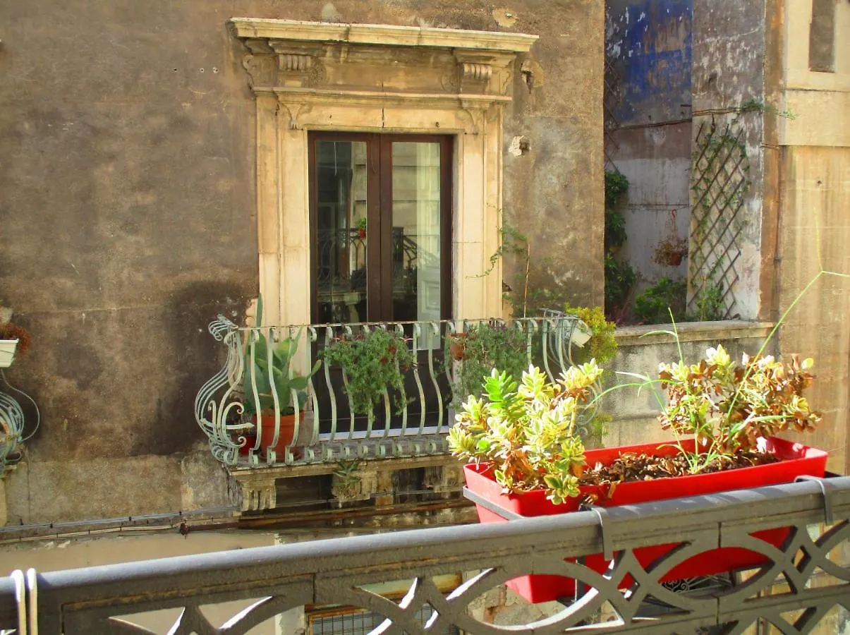 Bed and Breakfast Diletta Oasi CTA
