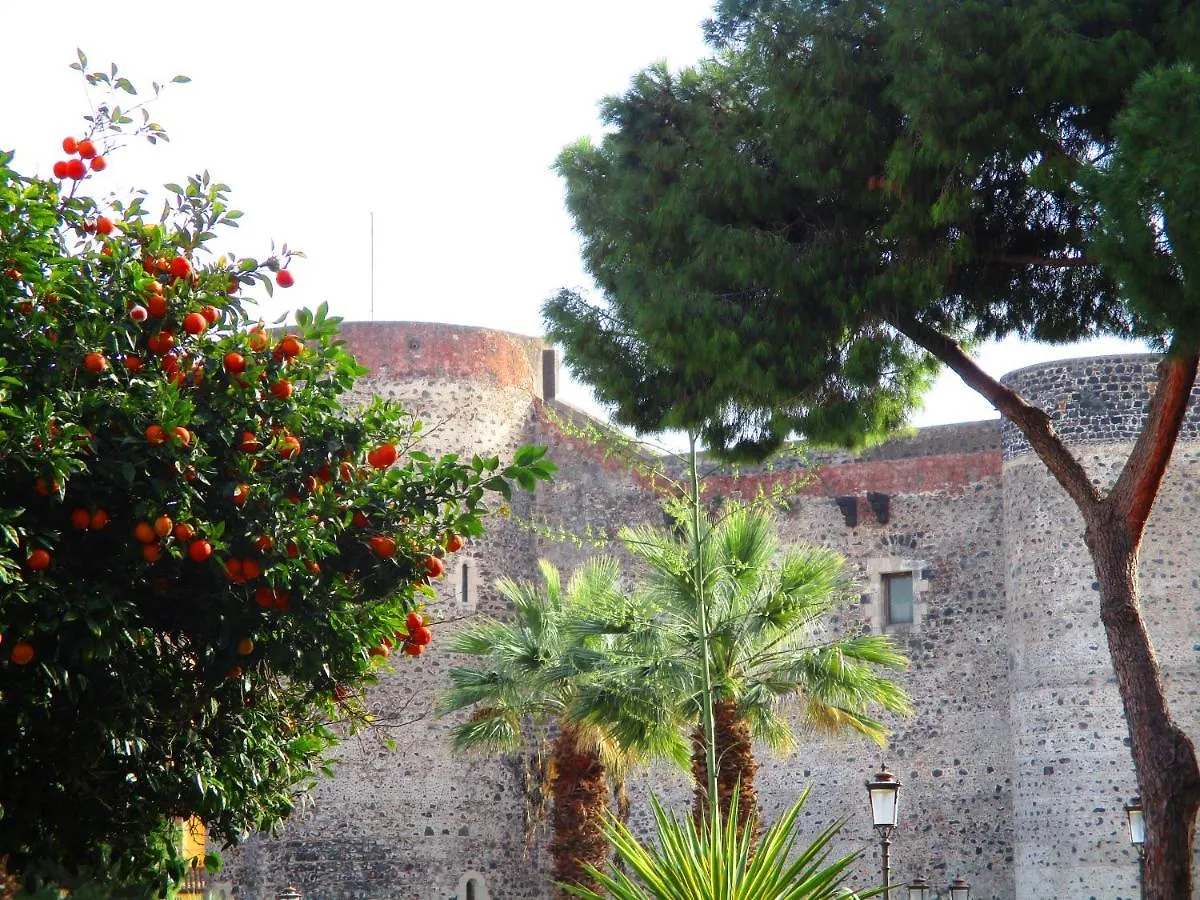 Bed and Breakfast Diletta Oasi CTA 0*,  Italia
