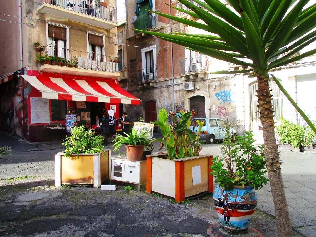 Bed and Breakfast Diletta Oasi CTA